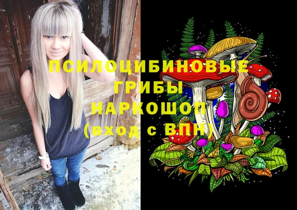 кокс Бородино