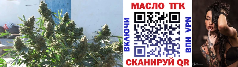 Дистиллят ТГК Wax  купить   Купино 