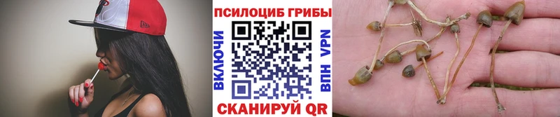 Галлюциногенные грибы мухоморы Купино